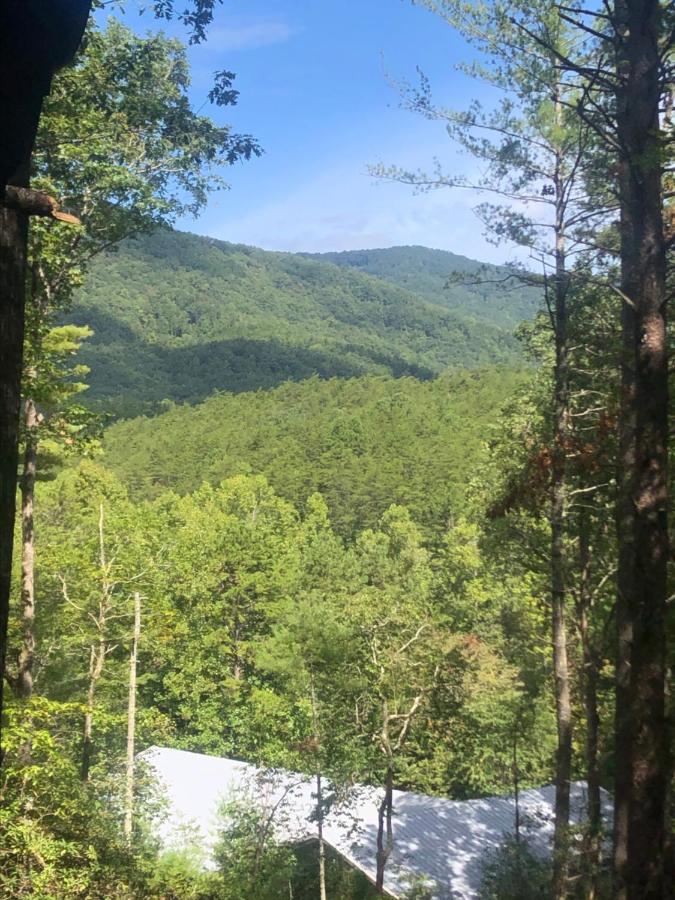 Mountain-Top Cabin Get-Away With Hot Tub And A View Sautee Nacoochee 외부 사진